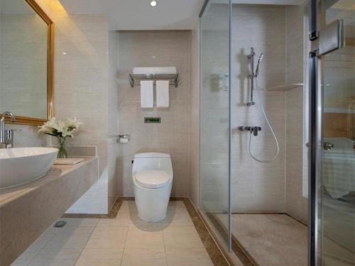 a bathroom with a toilet and a sink and a shower at Vienna Hotel Hunan Chenzhou Municipal Government in Chenzhou