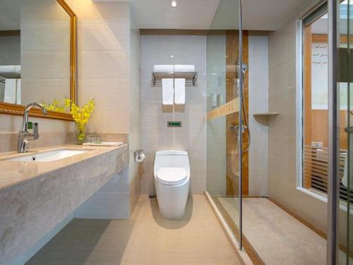 W łazience znajduje się toaleta, umywalka i prysznic. w obiekcie Vienna Hotel Nanning Airport w mieście Tanbai