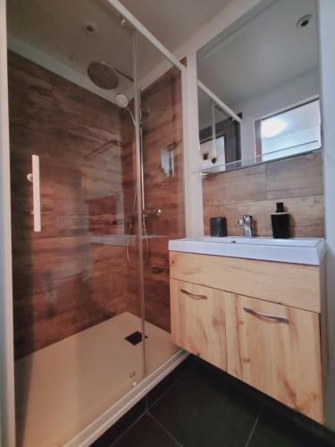 een badkamer met een douche, een wastafel en een spiegel bij Appartement au cœur de ville in Embrun