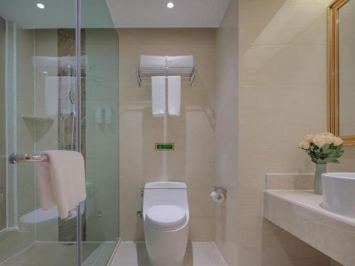 e bagno con servizi igienici, doccia e lavandino. di Vienna Hotel Qinghai Dachaidan a Da Qaidam