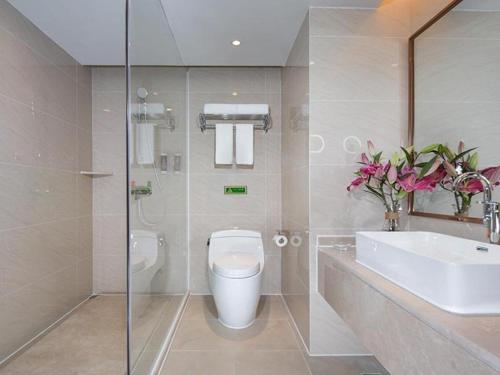 ein Bad mit einem WC und einem Waschbecken in der Unterkunft Vienna Hotel Guangxi Tiandong Times Plaza in T'ien-tung