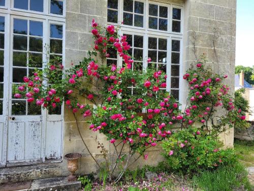 un ramo de flores rosas al lado de una casa en Castel Saint Laurent en Langeais