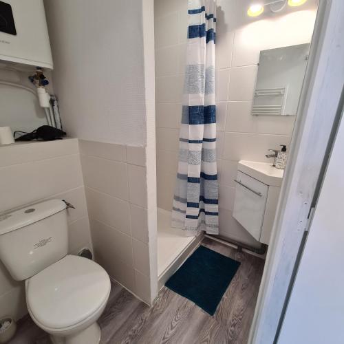 une petite salle de bain avec toilettes et douche dans l'établissement Kimme green - plein centre ancien, à Orléans