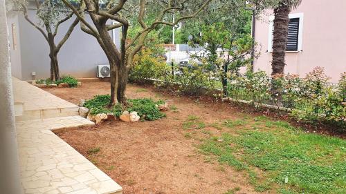 un árbol en un patio al lado de una casa en Apartments Cintya, en Poreč