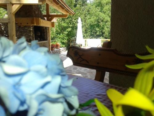 a close up of a blue flower next to a table at Holiday House Sobol in Kuželj