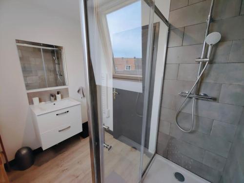 une salle de bain avec douche et lavabo dans l'établissement Maison Lilloise 6 personnes cœur de Roubaix, à Roubaix