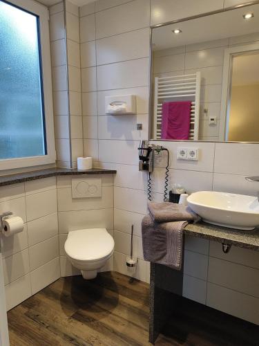 a bathroom with a toilet and a sink at Hotel Gästehaus Stock Zimmer Trüffeleckle in Friedrichshafen