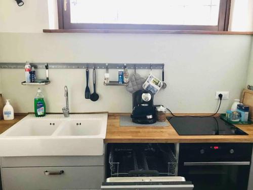 eine Küche mit einer Spüle und einer Arbeitsplatte mit einer Spüle in der Unterkunft Baita Gran Bosco: appartamento per 6 persone in Monfol