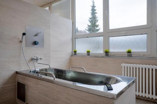 La salle de bains est pourvue d'un grand lavabo et de 2 fenêtres. dans l'établissement Hotel Běhounek, à Jáchymov