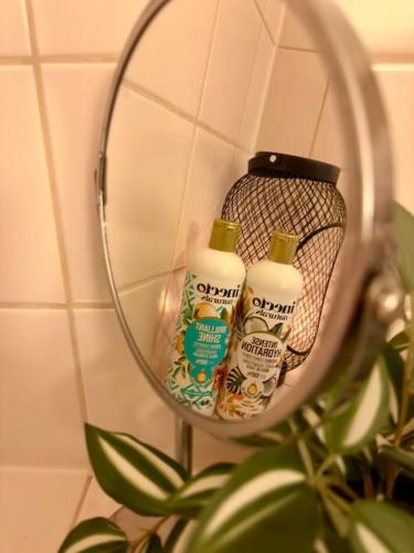 テュービンゲンにあるSüdstadtoase • Tübingen &freeParkingの鏡に映った洗剤のボトル2本