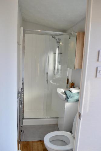 a bathroom with a shower and a toilet and a sink at Chalet 27 in Zandvoort