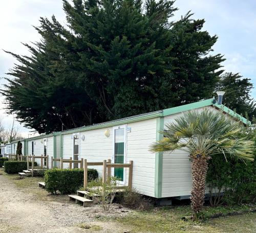 um pequeno reboque verde e branco com uma palmeira em Campiotel Les Dunes - ROMANEE em Ars-en-Ré