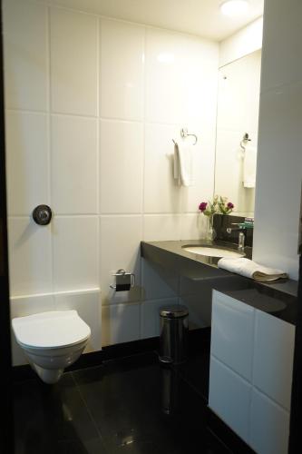 La salle de bains est pourvue de toilettes, d'un lavabo et d'un miroir. dans l'établissement Hotel Diplomat, Colaba, à Mumbai