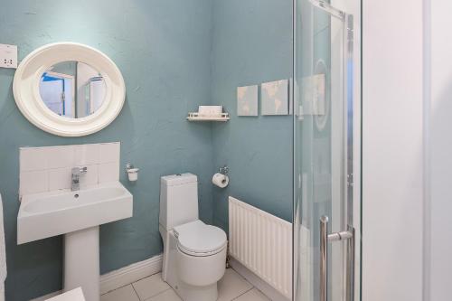 a bathroom with a toilet and a sink and a mirror at Barnabrow Country House in Killinagh