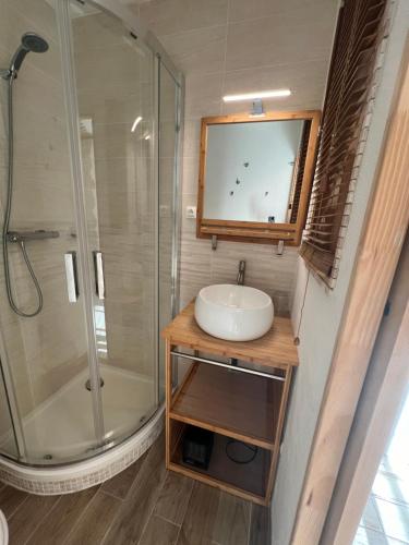 une salle de bain avec un lavabo et une douche dans l'établissement Très joli studio climatisé pour 1 couple, à La Londe-les-Maures