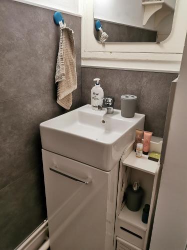 a bathroom with a sink and a mirror at Studio meublé équipé calme et bien situé in Chambray-lès-Tours