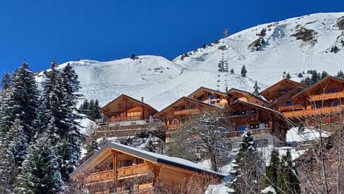 eine Ski-Lodge auf einem schneebedeckten Berg in der Unterkunft Alpage Immo Location Service in Champoussin