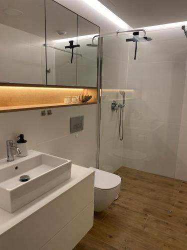 a bathroom with a sink and a toilet and a shower at Apartament Premium PINEA 316 in Pobierowo