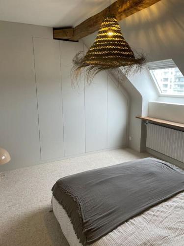 une chambre avec un lit et un lustre dans l'établissement L'Hyper Centre Angers T2, à Angers