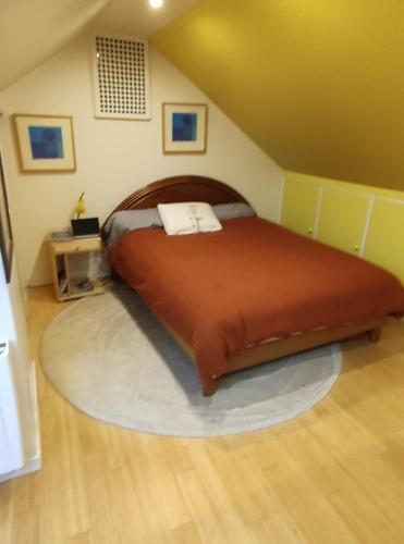 ein Schlafzimmer mit einem großen Bett mit einem Teppich drum herum in der Unterkunft catherine zajac in Saint-Nom-la-Bretêche