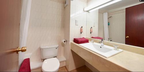 a bathroom with a sink and a toilet and a mirror at The University of Buckingham - Mount Pleasant in Buckinghamshire