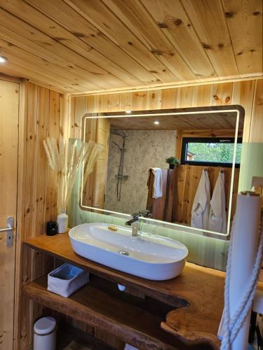une salle de bain avec un lavabo et un grand miroir dans l'établissement Caban'AO, à Saint-Just-et-Vacquières