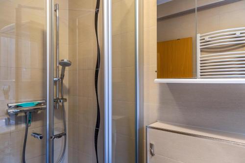 a shower with a glass door in a bathroom at Im Bubenstück in Bingen am Rhein
