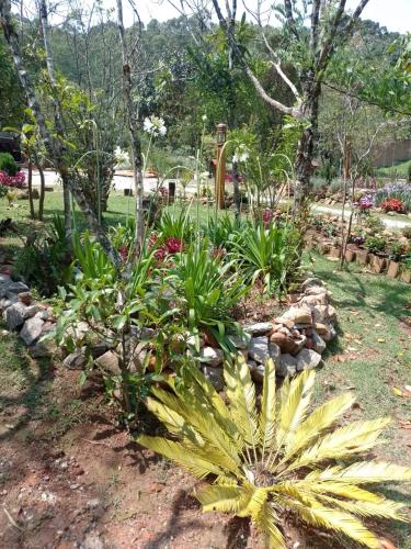 a garden with a bunch of plants in a yard at CHALÉS LUAR DO PICO in Santo Antônio do Pinhal