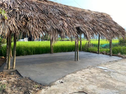 einen strohgedeckten Pavillon mit einem Reisfeld im Hintergrund in der Unterkunft Homestay Chinh Bi in Yên Bái