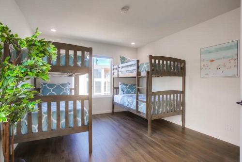 a room with two bunk beds and a potted plant at Rip Tide in San Diego