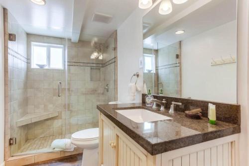 een badkamer met een wastafel, een toilet en een douche bij South Shore 1 in San Diego