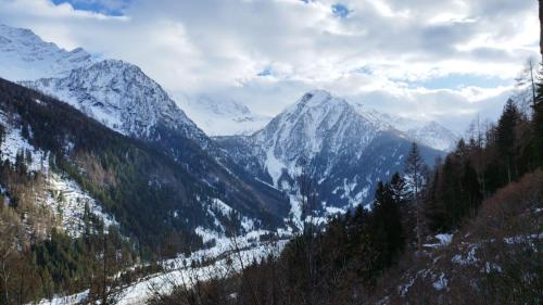 a snowy mountain range with trees and snow capped mountains at Maso dei Sogni - Vermiglio / Tonale in Vermiglio