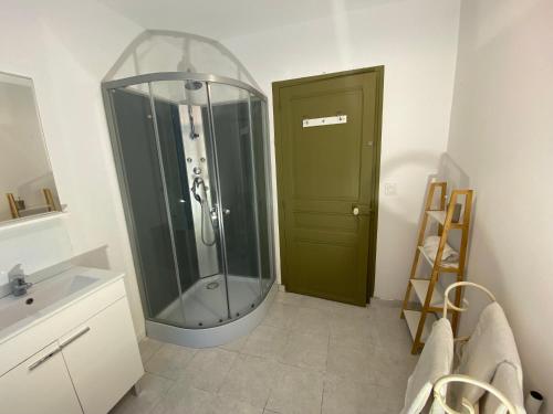 uma casa de banho com um chuveiro e uma porta verde em chez Alain et Sylvie em Braine
