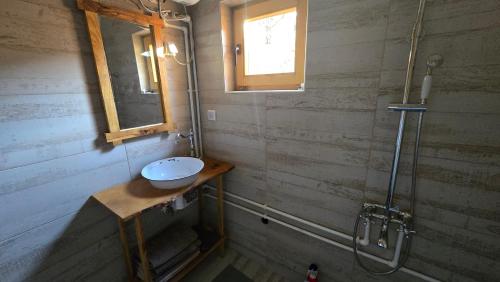 a bathroom with a sink and a shower at Etno Villas Tara&Petra in Žabljak