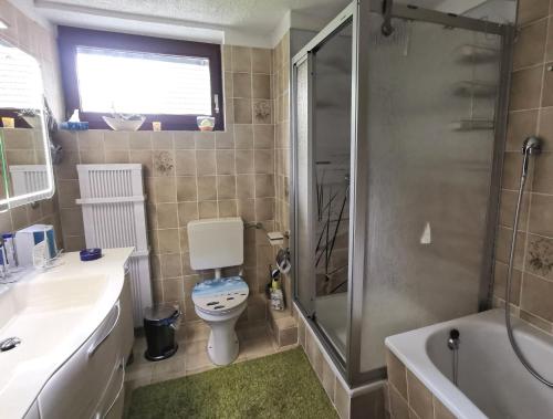 uma casa de banho com um WC, um lavatório e um chuveiro em Ferienhaus Medemsonne em Otterndorf