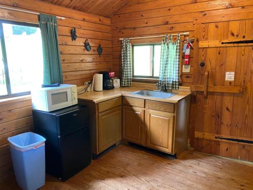 a kitchen with a microwave and a sink in a cabin at Poolside Rustic Cabin with Amazing Views in Salisbury