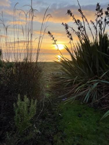 a sunset in a field with grass and plants at No1 The Links Apartment, Brora in Brora