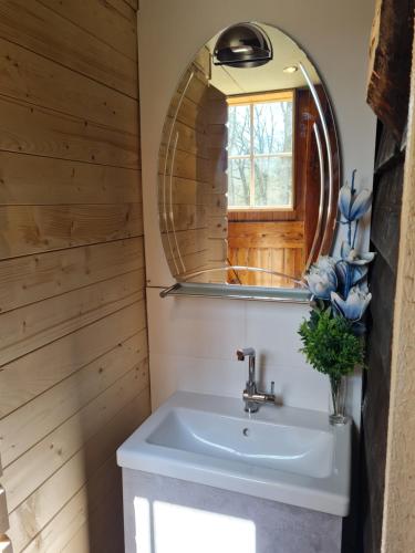 W łazience znajduje się umywalka i lustro. w obiekcie de Tweelingen w mieście Schoonloo