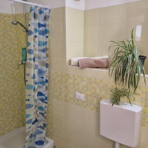 a bathroom with a plant on top of a toilet at Casa AL TEATRO in Diano Castello