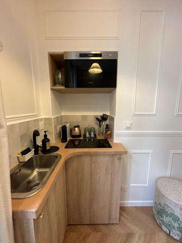 une cuisine avec un évier et un micro-ondes dans l'établissement Appartement élégant au cœur de Saint-Germain-des-Prés, à Paris