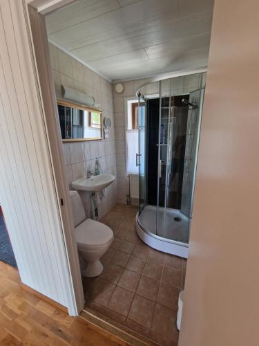 a bathroom with a toilet and a shower and a sink at Annas Ställe B&B in Byxelkrok