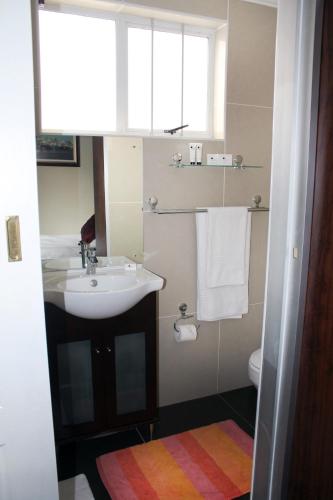 a bathroom with a sink and a toilet at Silver Oaks Boutique Hotel in Durban