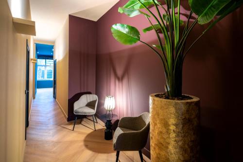 布雷達的住宿－Breda City Apartments，走廊上摆放着椅子和盆栽植物