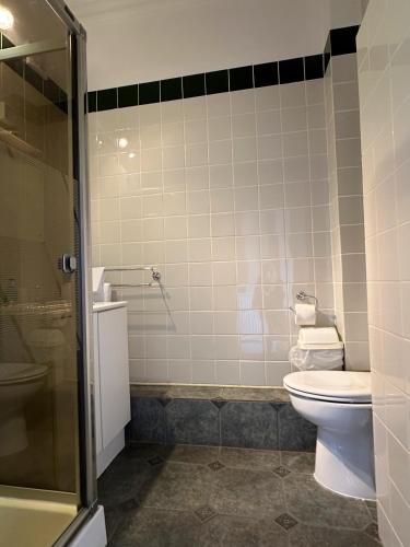 a bathroom with a toilet and a shower at Rosehall Hotel in Edinburgh