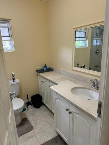 a bathroom with a sink and a toilet at Westland villa's in Saint James