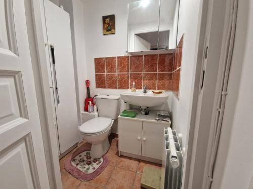 une petite salle de bain avec toilettes et lavabo dans l'établissement Appartement 2 pièces à Auteuil, à Paris