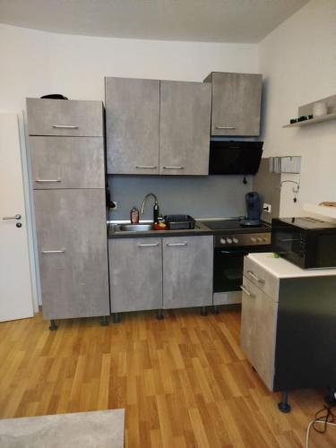 kuchnia z urządzeniami ze stali nierdzewnej i drewnianą podłogą w obiekcie Apartment Tamara w mieście Wiesbaden