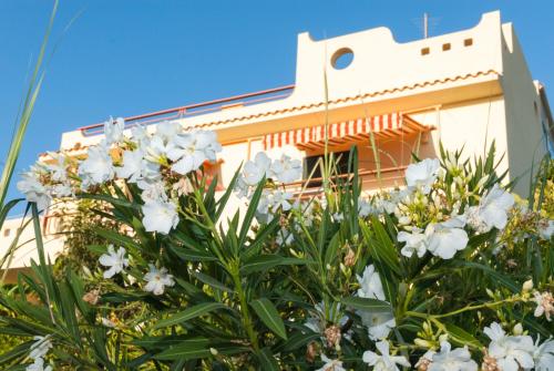 Surra Mediterranean Apartments – Photos 2