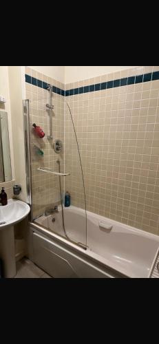 a bathroom with a shower and a tub and a sink at Double Room in a Cozy Apartment Dublin City Centre in Dublin