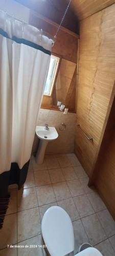 プエルト・ウィリアムズにあるFortunata del Beagleのバスルーム(トイレ、洗面台付)